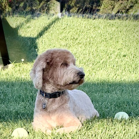 Photo of Cash