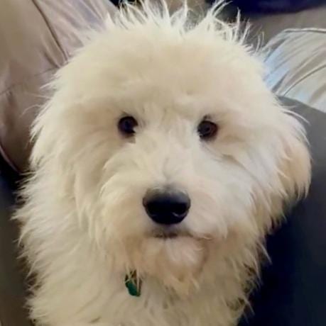 Photo of Ernie