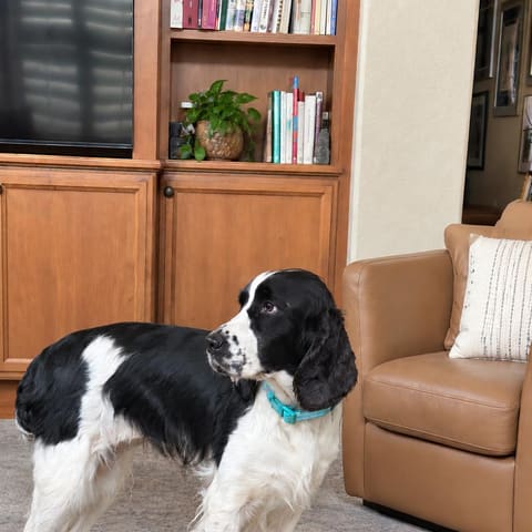 Photo of Mazy