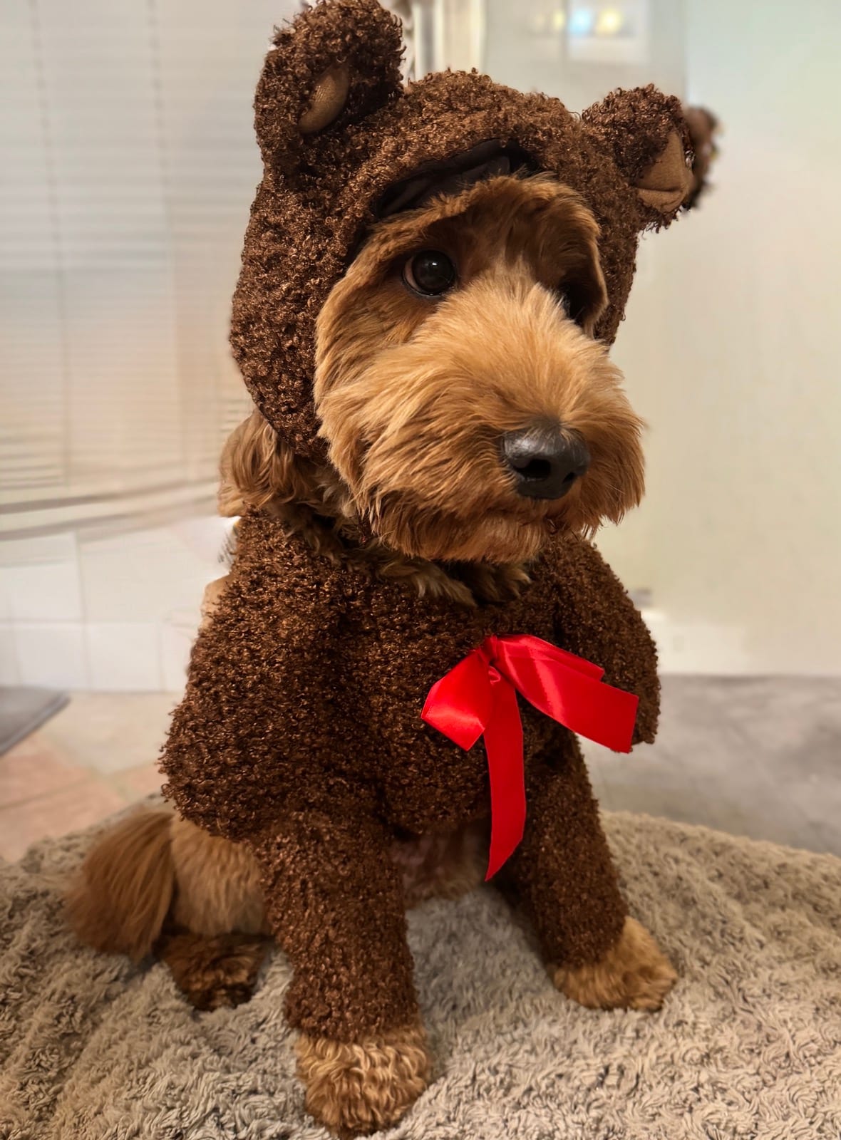 Aww Mom, do I have to wear this?