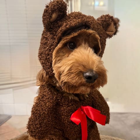 Aww Mom, do I have to wear this?