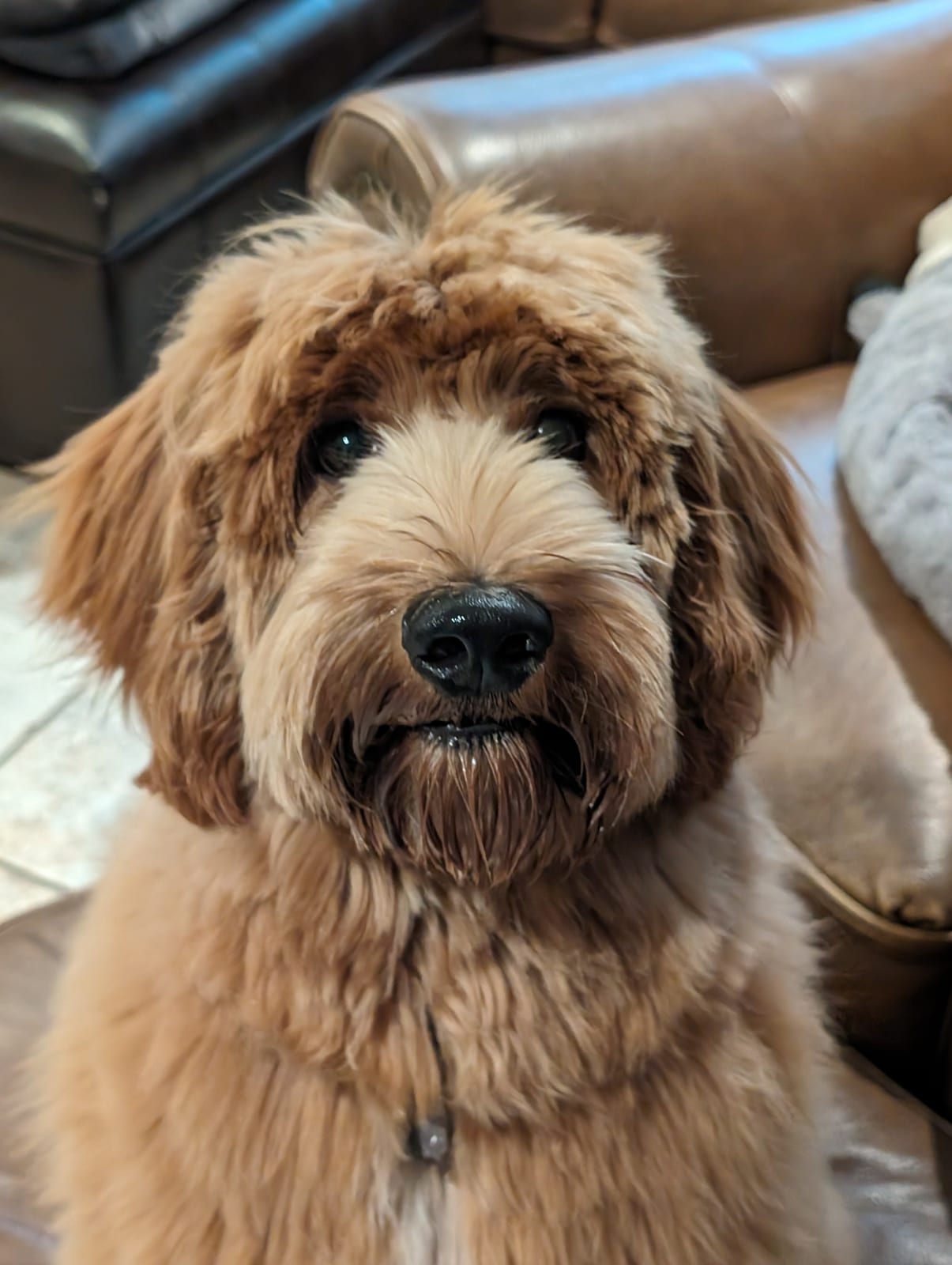 Photo of Benny
