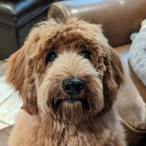Photo of Benny