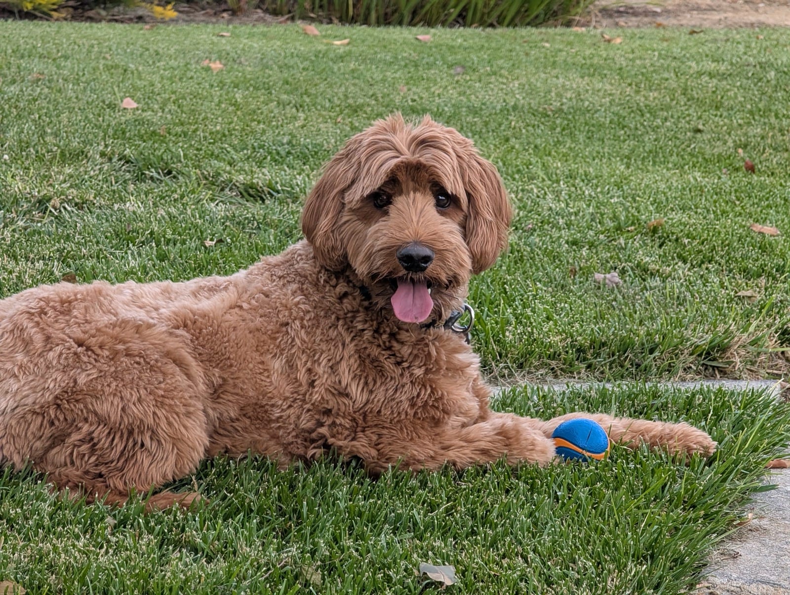 Photo of Benny