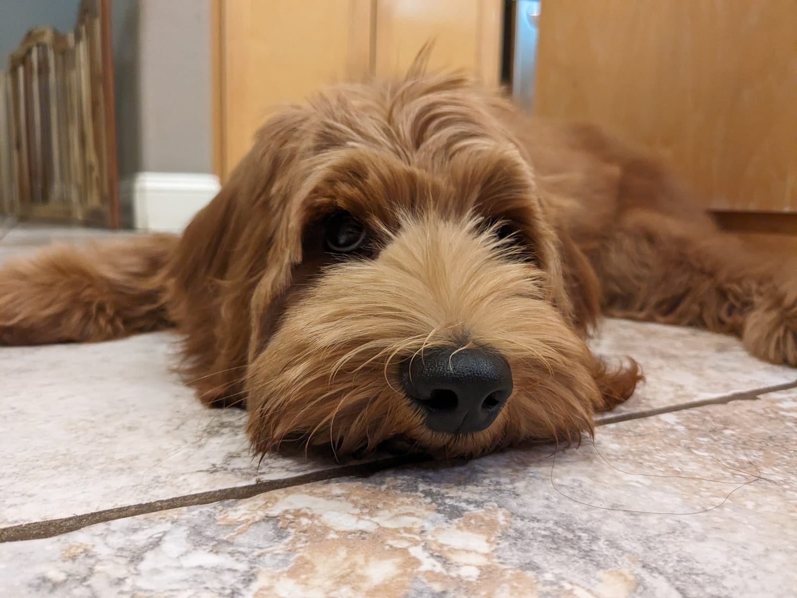 Photo of Benny