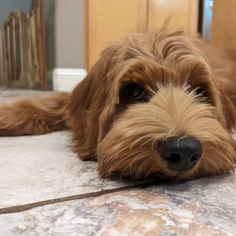Photo of Benny