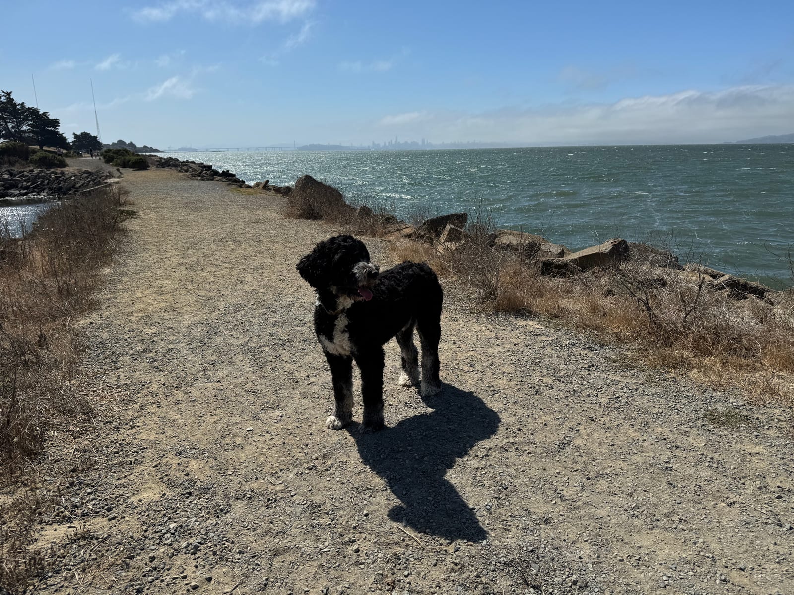 Photo of Charlie