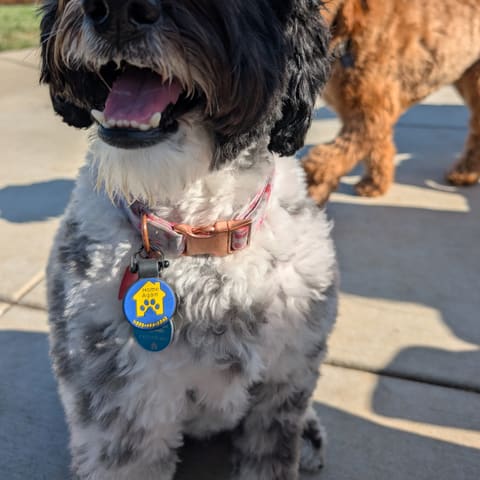 Photo of Skyler