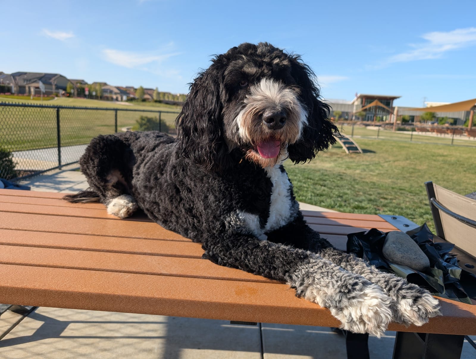 Photo of Charlie