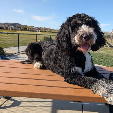 Photo of Charlie