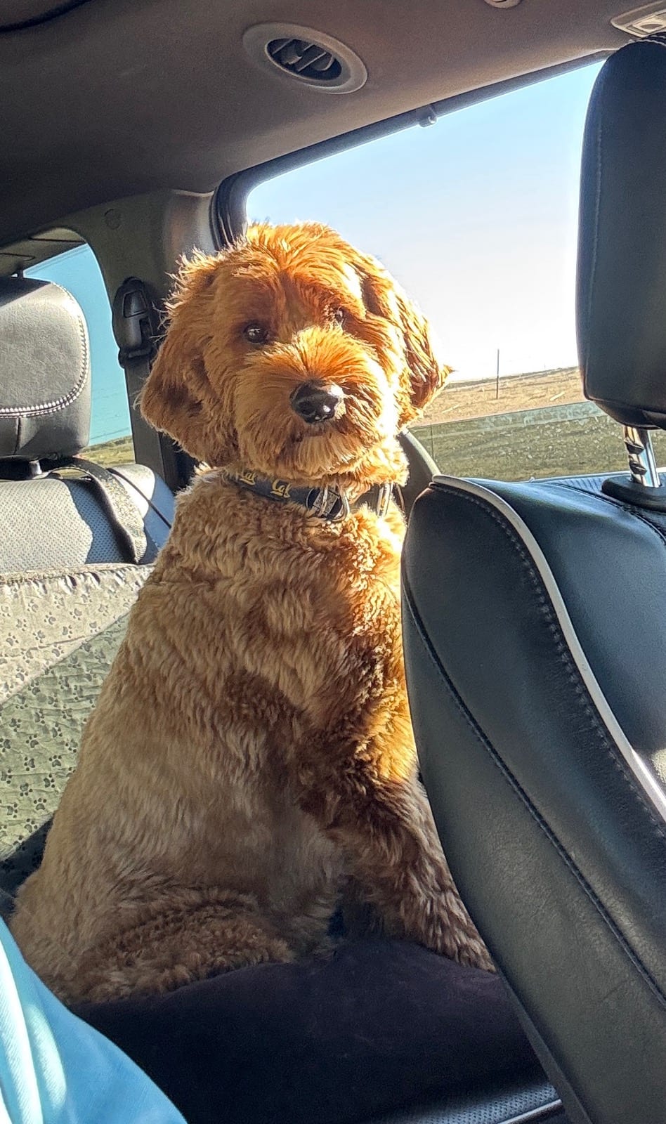 Driver, I believe we passed the park two exits ago.