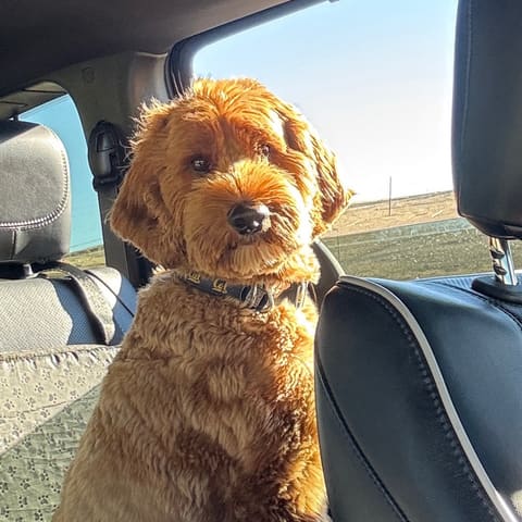Driver, I believe we passed the park two exits ago.