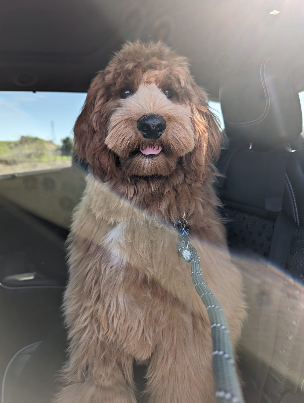 Photo of Benny