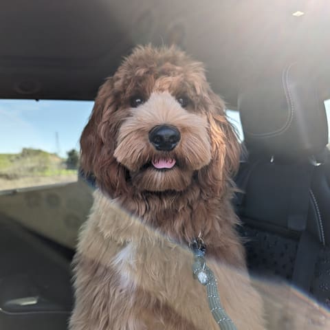 Photo of Benny