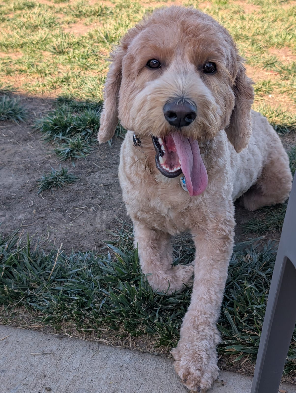Photo of Cash