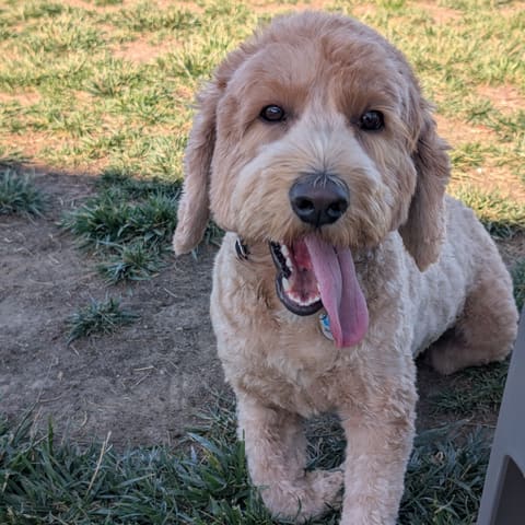 Photo of Cash